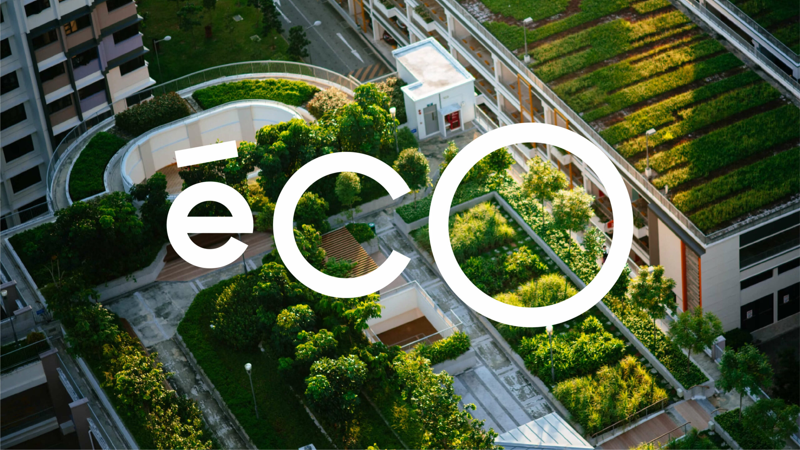 Comité Éco
